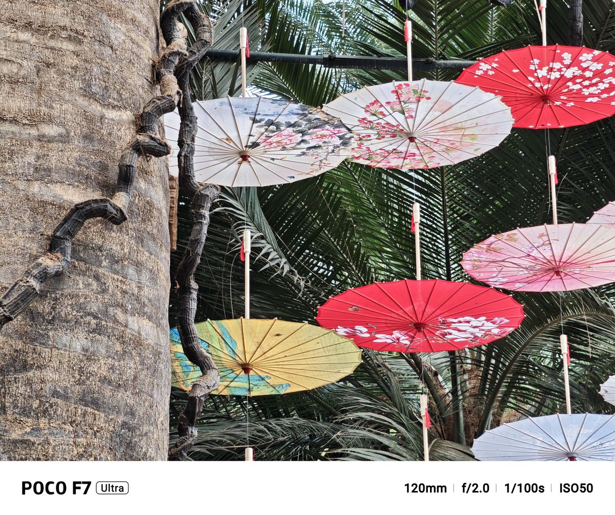 A photo captured on the Poco F7 Ultra