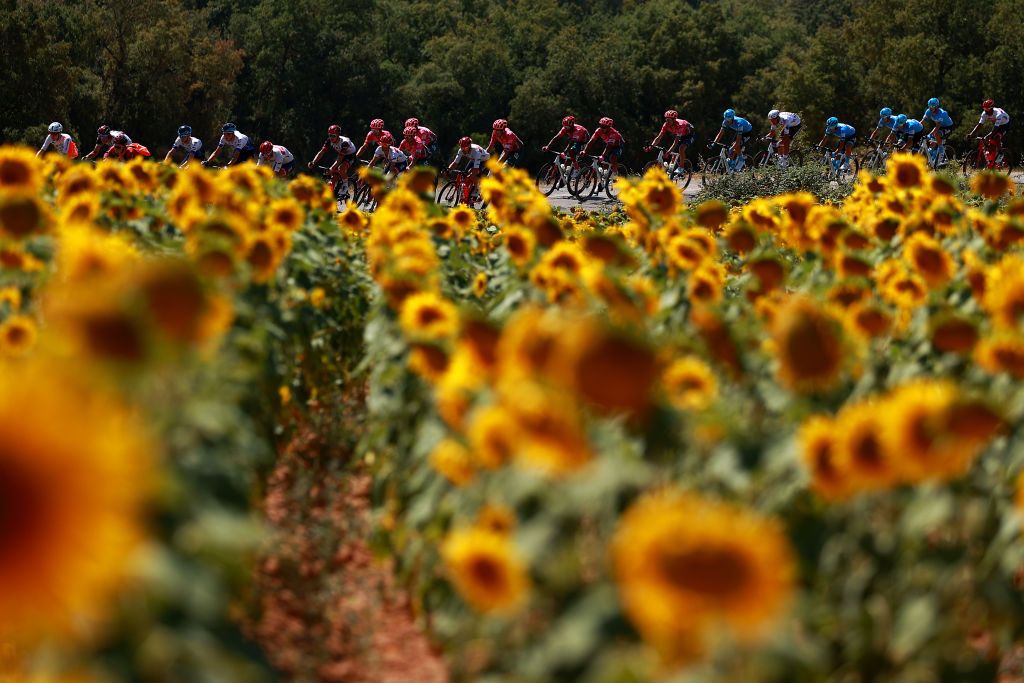 BURGOS SPAIN AUGUST 02 A general view of Hugh Carthy of United Kingdom Johan Chaves Esteban of Colombia Jonathan Klever Caicedo Cepeda of Ecuador Ruben Guerreiro of Portugal James Callum Shaw of United Kingdom Merhawi Kudus Ghebremedhin of Eritrea Thomas Scully of New Zealand and Team EF Education Easypost and the peloton passing through flowery landscape during the 44th Vuelta a Burgos 2022 Stage 1 a 157km stage from Catedral de Burgos to Mirador del Castillo Burgos VueltaBurgos on August 02 2022 in Burgos Spain Photo by Gonzalo Arroyo MorenoGetty Images