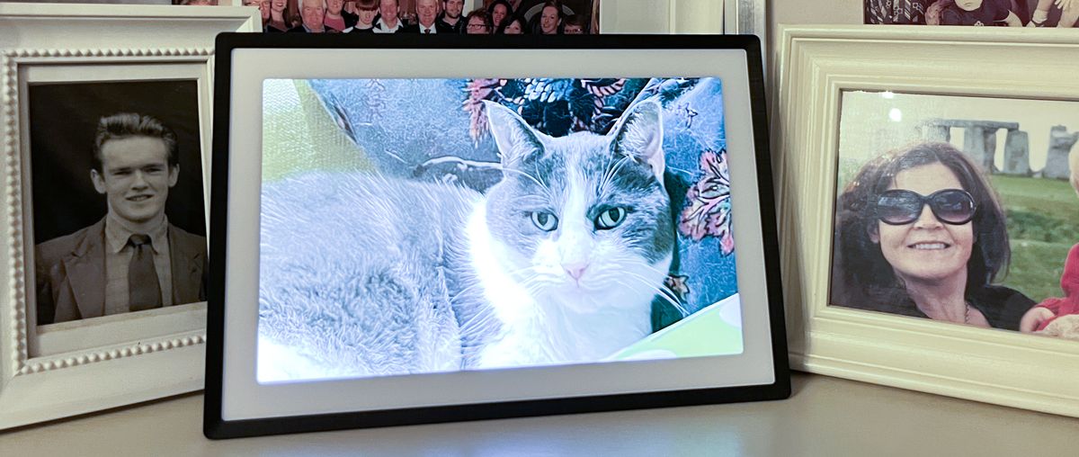 Lexar Pexar picture frame on bookshelf with cat image