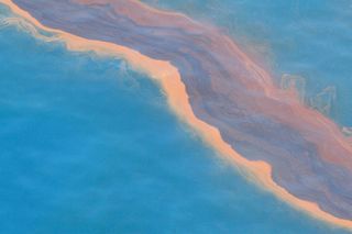A band of oil seen in the Gulf of Mexico from above on May 12, 2010, after the Deepwater Horizong oil spill..