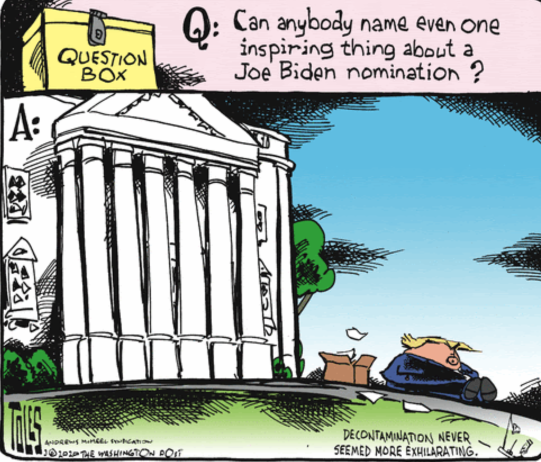 Political Cartoon U.S. Joe Biden motivation campaign question box Trump 2020 election