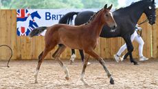 Futurity