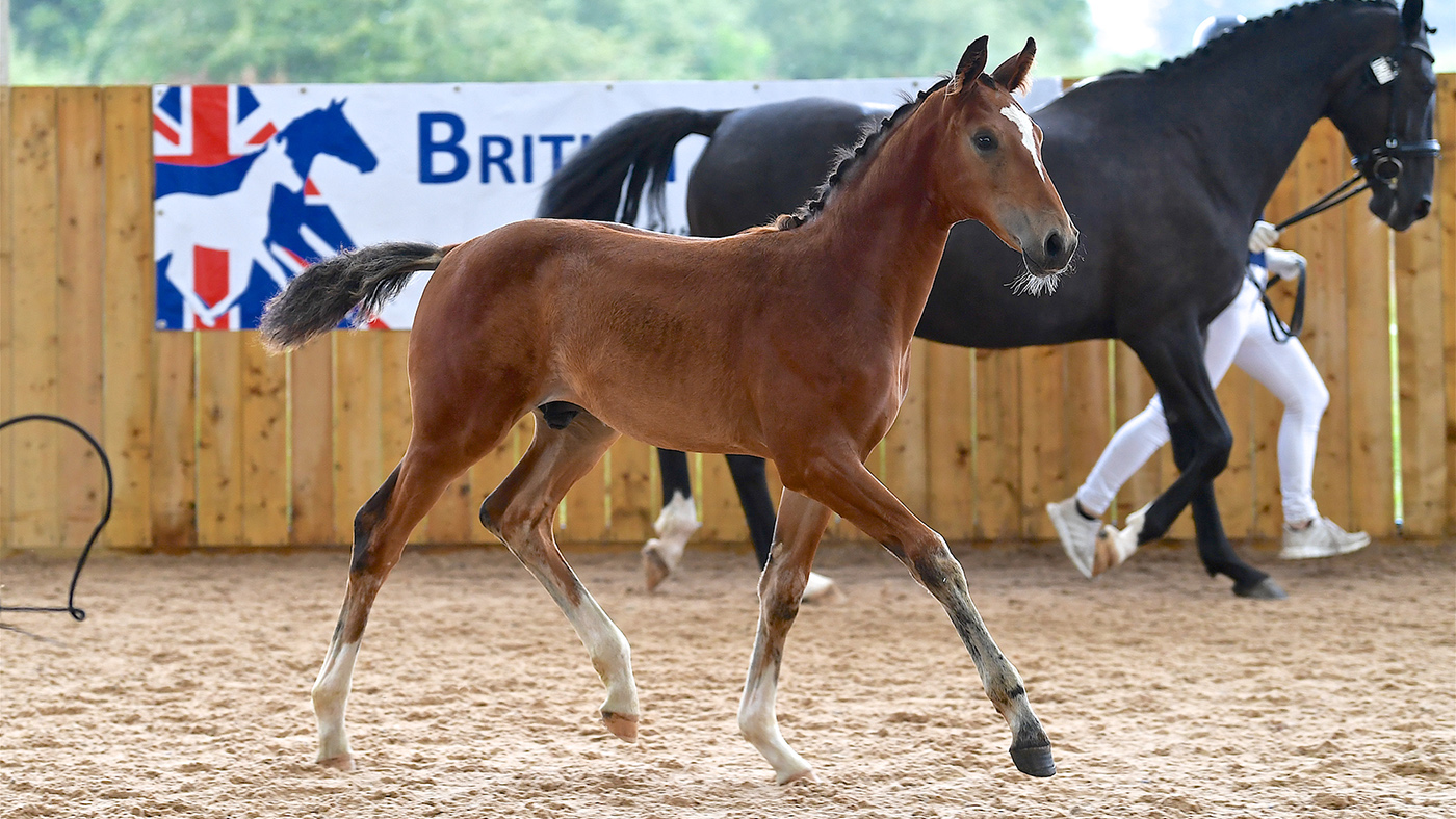 Futurity