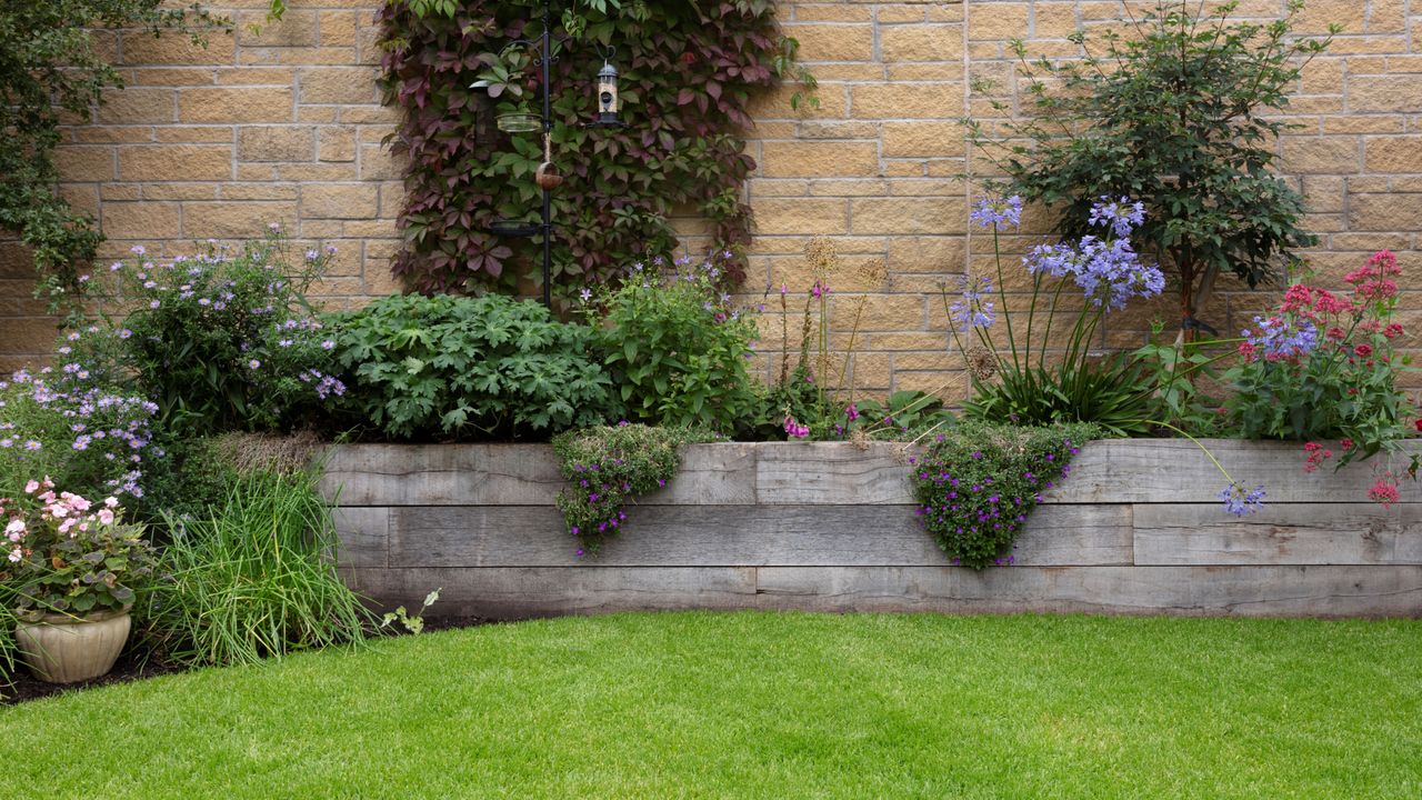 Garden lawn surrounded by garden border