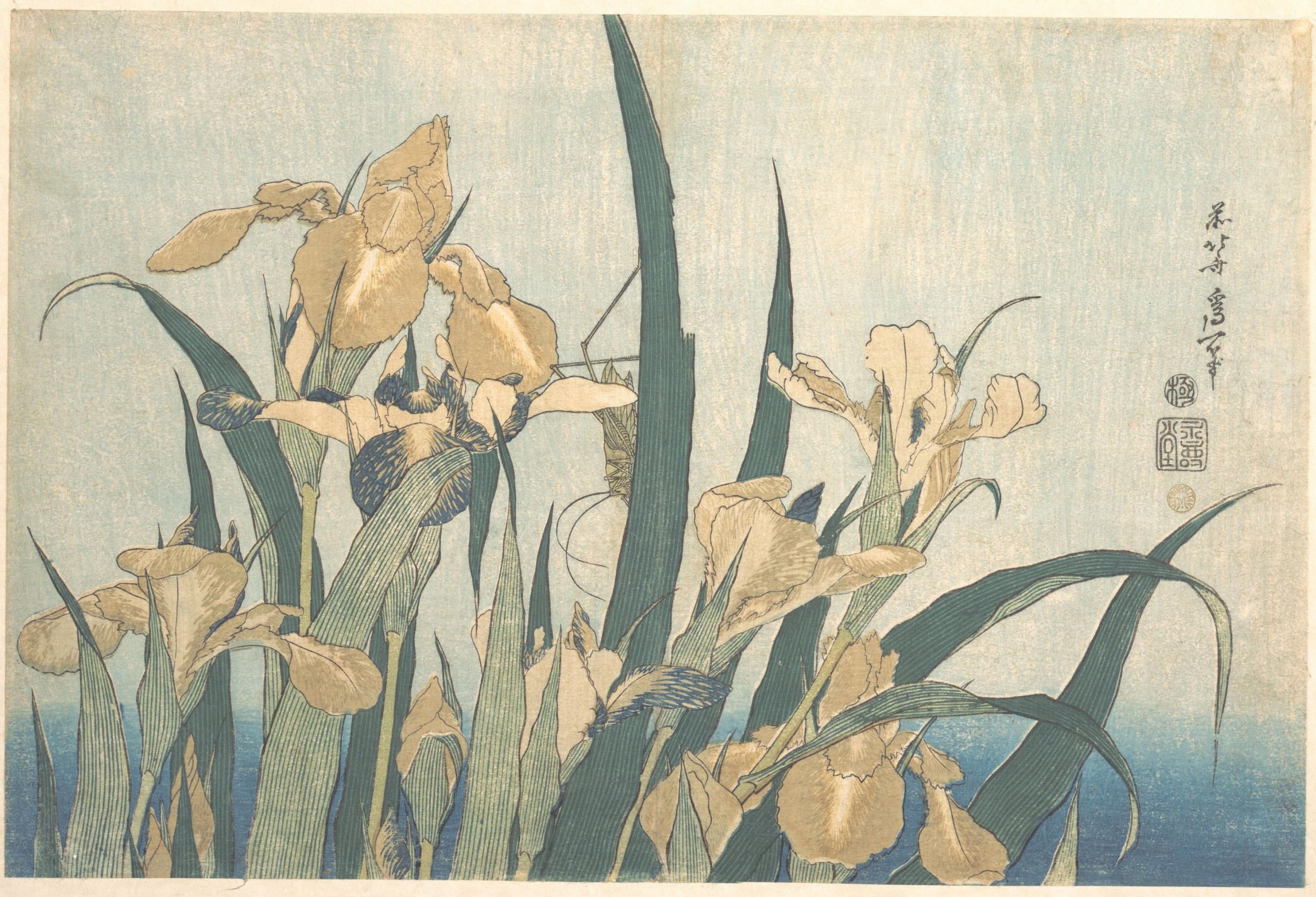 Grasshopper and Iris, Katsushika Hokusai, late 1820s