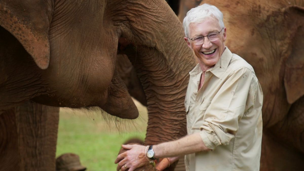  Paul O&#039;Grady meets the Elephants at The Elephant Nature Park, which is the largest elephant rescue centre in Thailand - part of Easter TV 2024