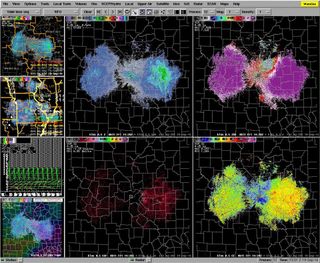 butterfly radar