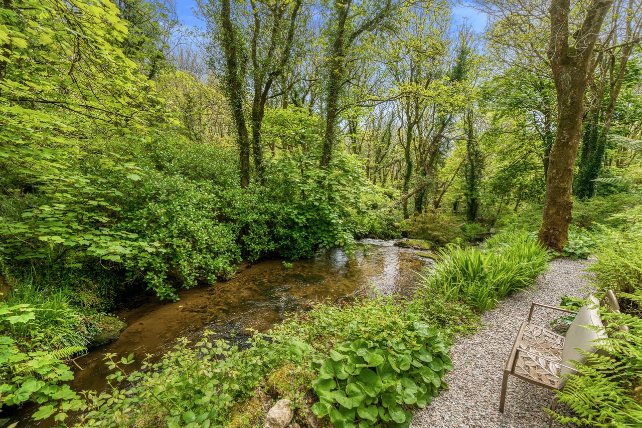 Birch Studio, hidden among the trees, near Lamorna Cove