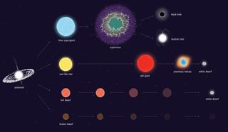 This image shows possible evolutionary pathways for stars of different masses. Sunlike stars can be seen swelling into red giants before releasing their outer gas, creating colorful nebulas around a collapsed core called a white dwarf.