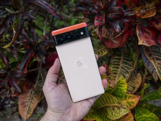 Google Pixel 6 Hold Back