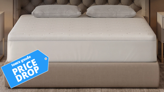 Puffy Deluxe Mattress Topper