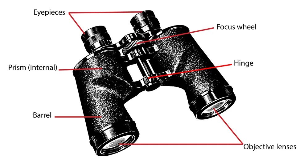 How do binoculars work? We reveal the magic of magnification Advnture