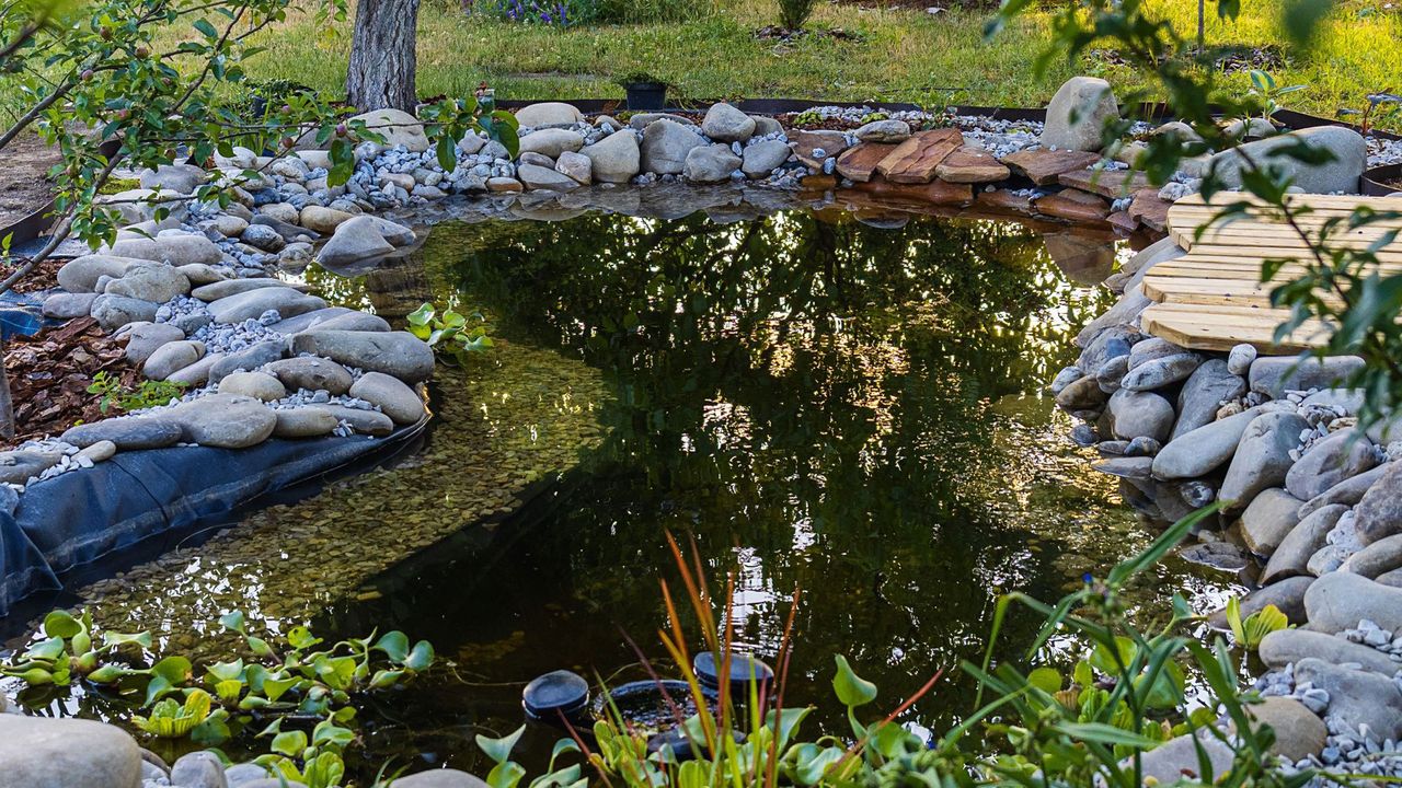 Large kidney bean shaped wildlife pond