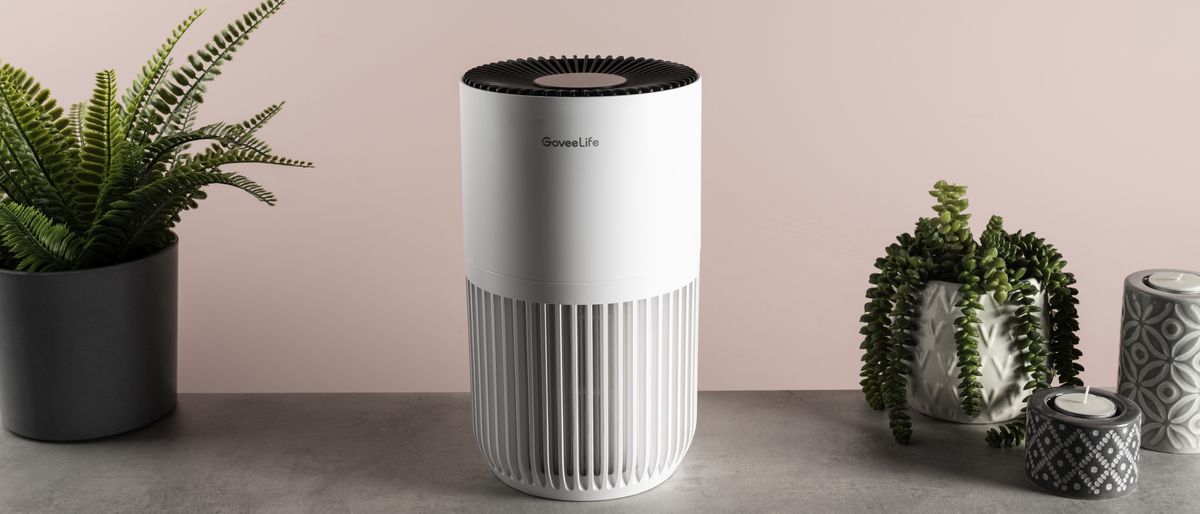 The GoveeLife Smart Air Purifier Lite sits on a table with house plants on either side.