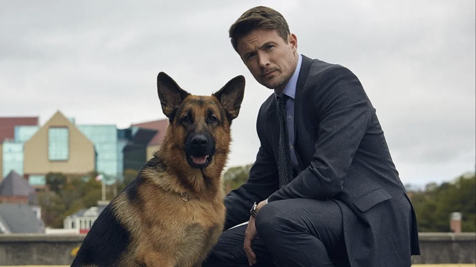 Hudson & Rex Season 8