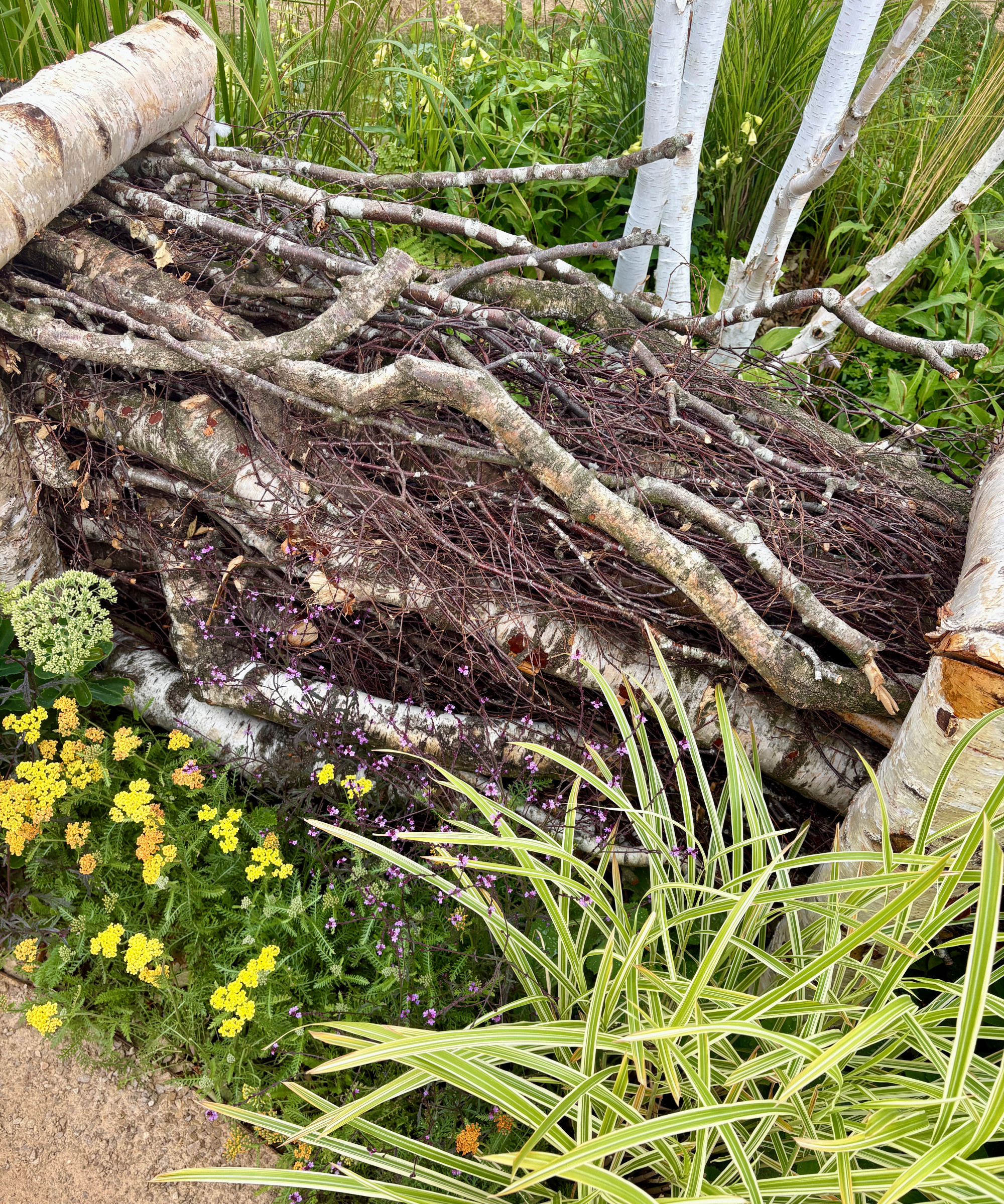 bug hotel dead hedge