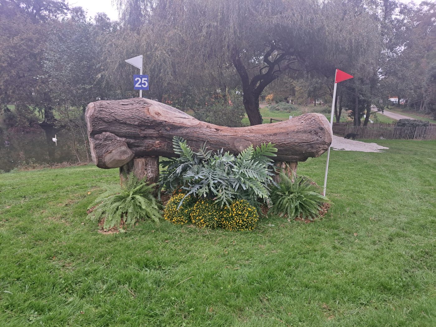 Pau Horse Trials cross-country course fence 25