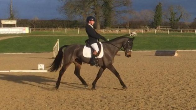 Splashdressage-e1483967274315.jpg