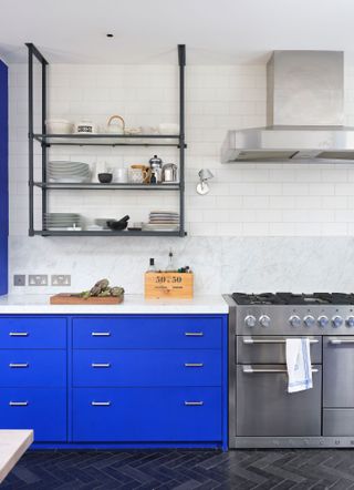 Blue kitchen in the home of Susie Hoodless