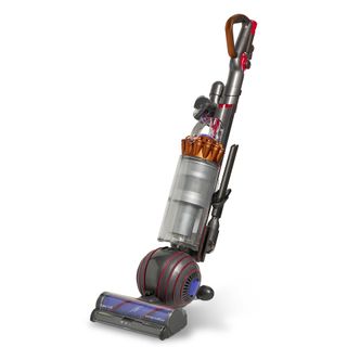 Dyson Ball Animal 3 upright vacuum