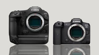 Canon EOS R3 size