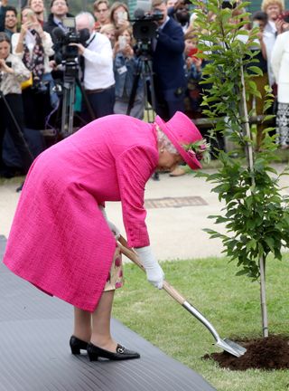 HM Queen Elizabeth II plants a tree during a visit to the NIAB, (National Institute of Agricultural Botany) on July 9, 2019 in Cambridge. Credit: Chris Jackson/Getty