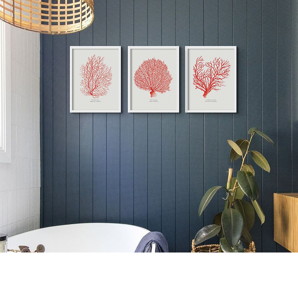 Set of 3 Red Coral Prints | Coral Paintings 1,2 and 3 - Unframed