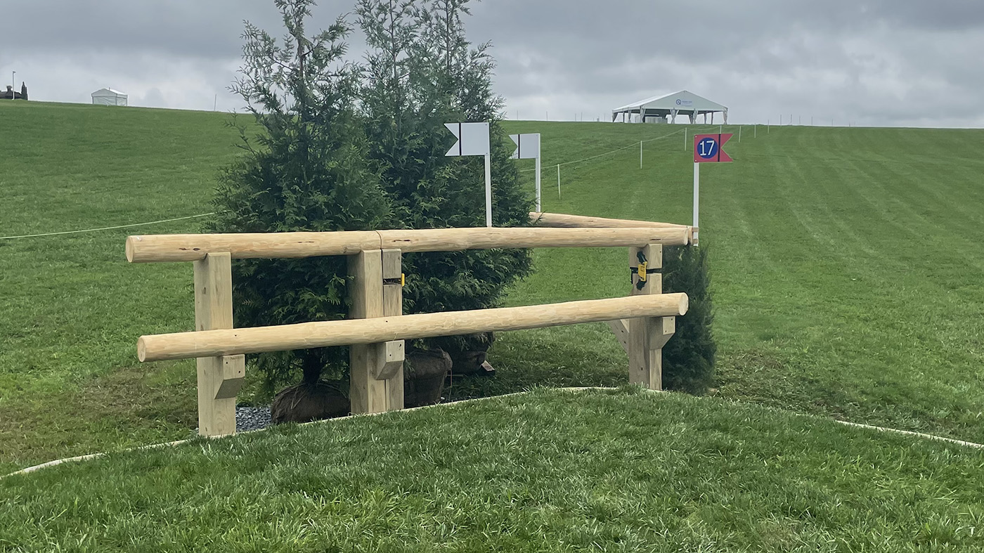 Fence17