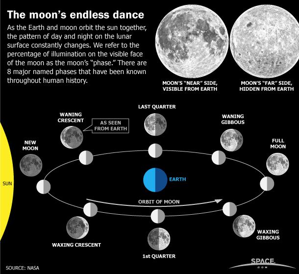 Earth's Moon Phases, Monthly Lunar Cycles (Infographic)