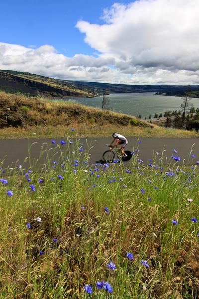 Racers may not have had time to smell the wildflowers littered along the course.