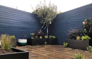 Wooden fence panels painted in a rich Bishop Blue paint colour from Thorndown Paints