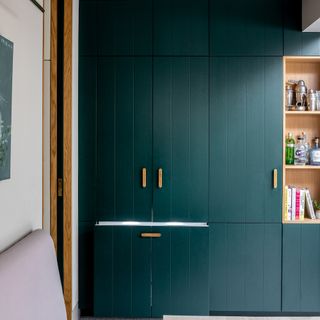 Contemporary kitchen extension with dark green units and drawer freezer