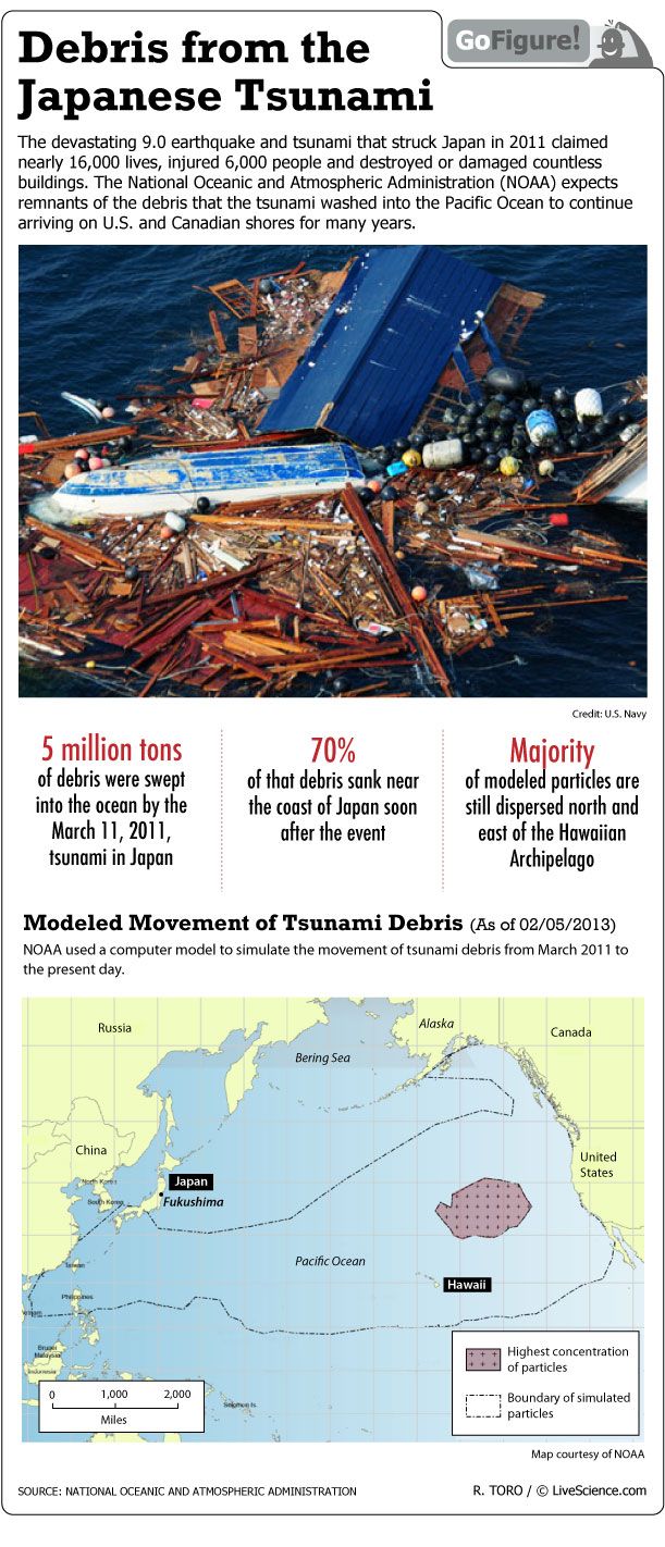 Tracking Japans Tsunami Debris Infographic Live Science