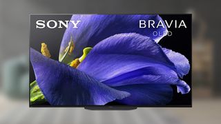 Sony Master Series A9G OLED TV