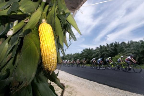 The peloton rolls on