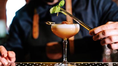A bartender garnishes a cocktail