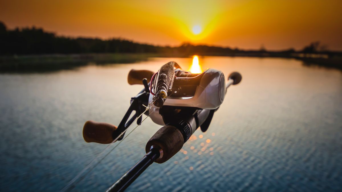 How to choose a fishing reel: an expert guide to selecting an essential ...