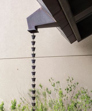 Decorative cup rain chain suspended from down pipe on building