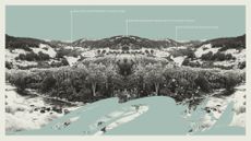 Photo composite illustration of Texas Hill Country with rising floodwaters