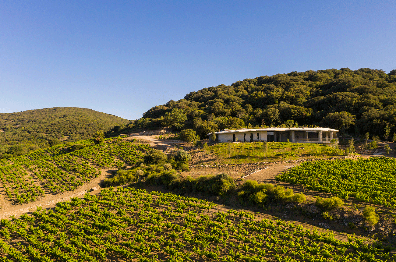 Clos du Temple vintage vertical