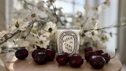 Diptyque Fleur de Cerisier Candle with cherries and blossom around it