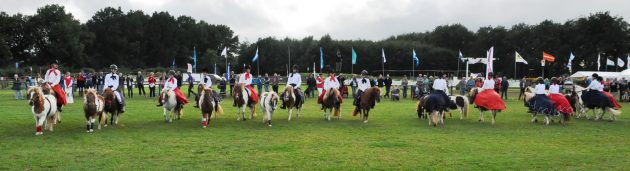 The Shetland display team