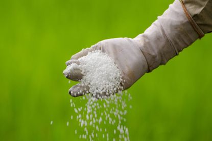 Gloved Hand Spreading Fertilizer