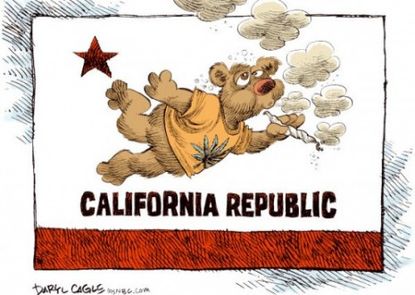 California: Marijuana nation?