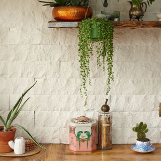 white kitchen with wooden shelf and potted plant