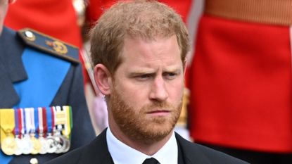 Prince Harry profits from Spare