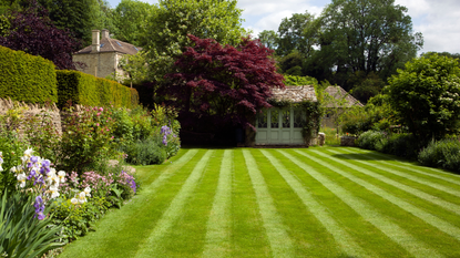 perfect lawn stripes