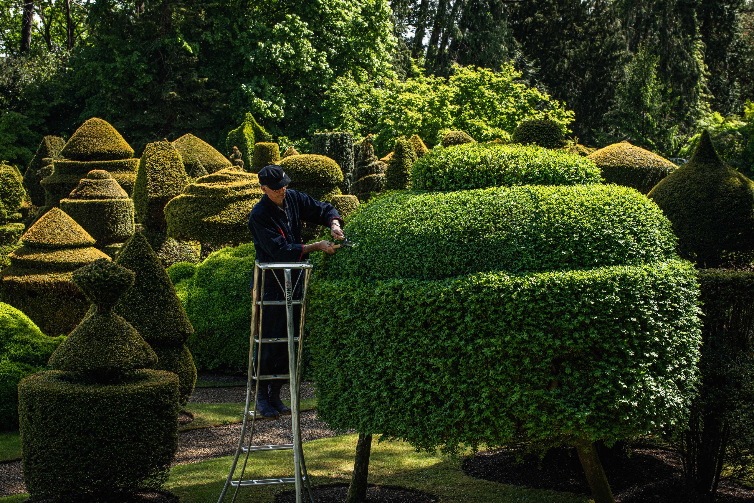 Niwaki and Friar Park