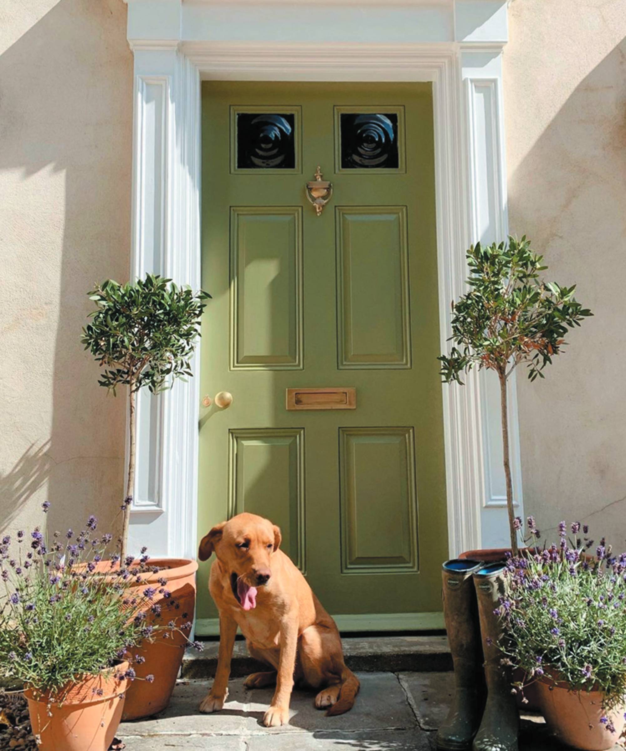 Green front door
