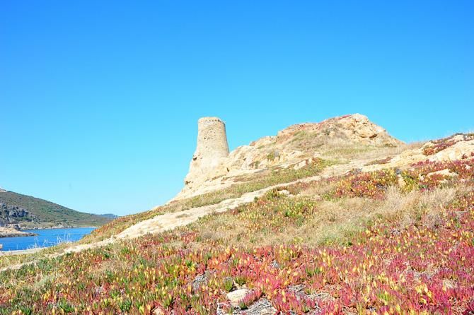 Watch towers on the Corsica coast